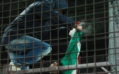 Megbírságolták a kolozsvári futballmérkőzésen magyar zászlót felgyújtó fiatalokat