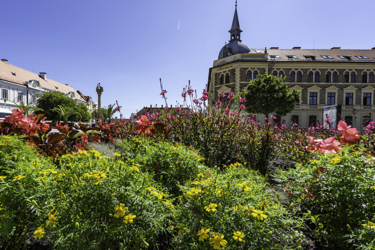 Visit Hungary: csaknem 80 elismerést adtak át a Virágos Magyarország díjátadóján